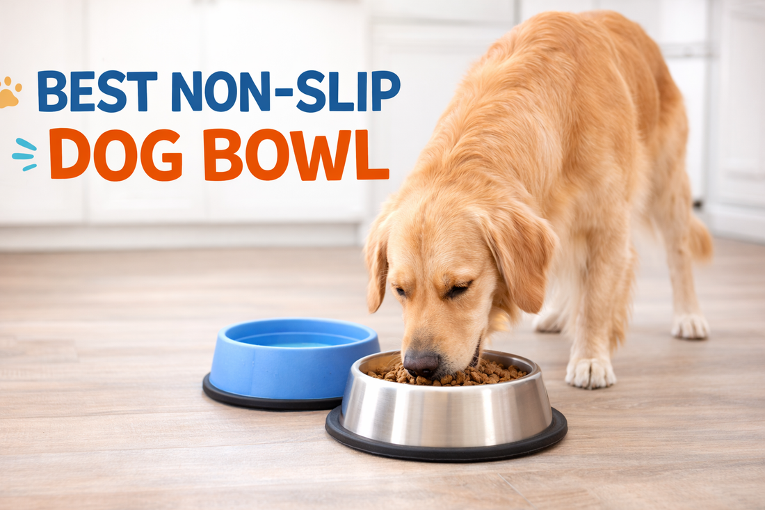 How to Choose the Best Non-Slip Dog Bowl