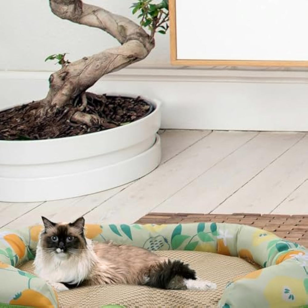 Summer Cooling Mat Keeps Pets Cool and Comfortable