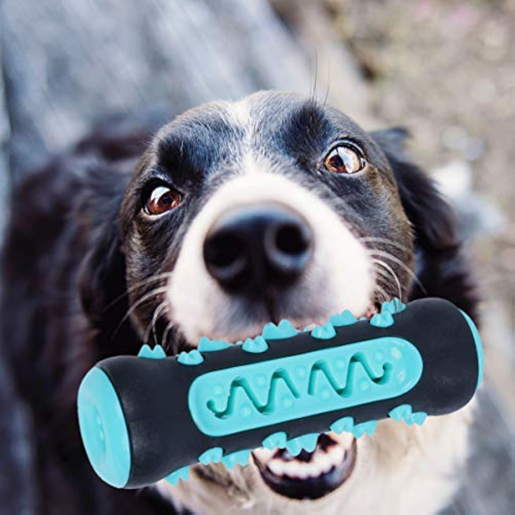 Premium Dental Chew Toy for Cleaner Teeth and Happier Dogs