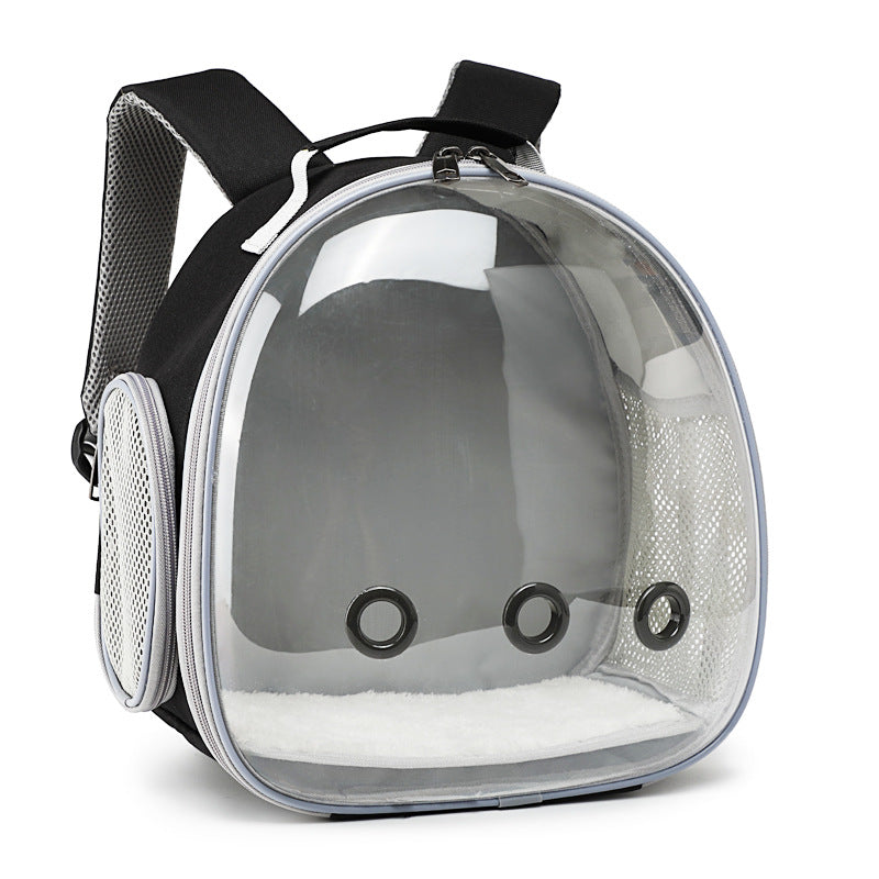 Comfortable Transparent Pet Backpack for Safe Travel